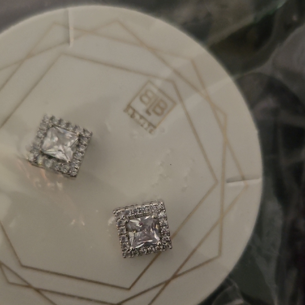 Elegant Silver Stud Earrings